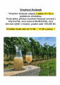 Vinařství Holánek 17.10.2025