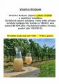 Vinařství Holánek 5.9.2025