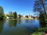 Obrázek v galerii